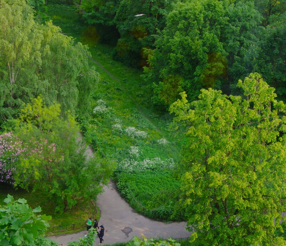 Буйная зелень... - Юрий Куликов Буйная зелень... - Юрий Куликов