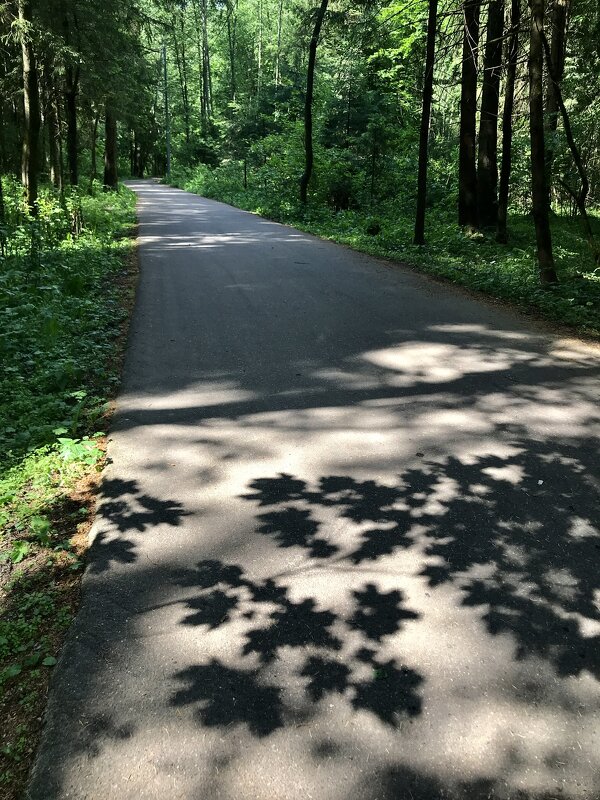 Парковая дорожка!) - Любовь Парковая дорожка!) - Любовь