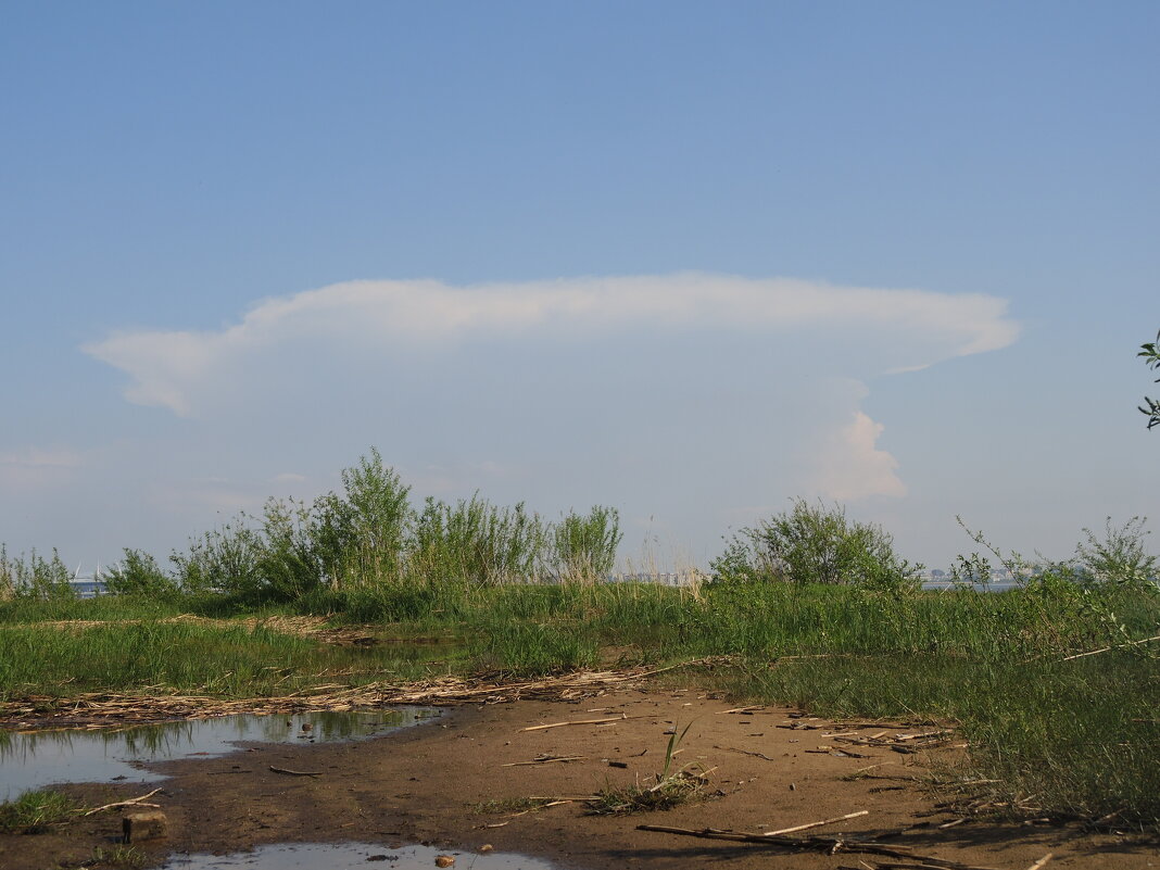легкая облачная ткань - sv.kaschuk легкая облачная ткань - sv.kaschuk