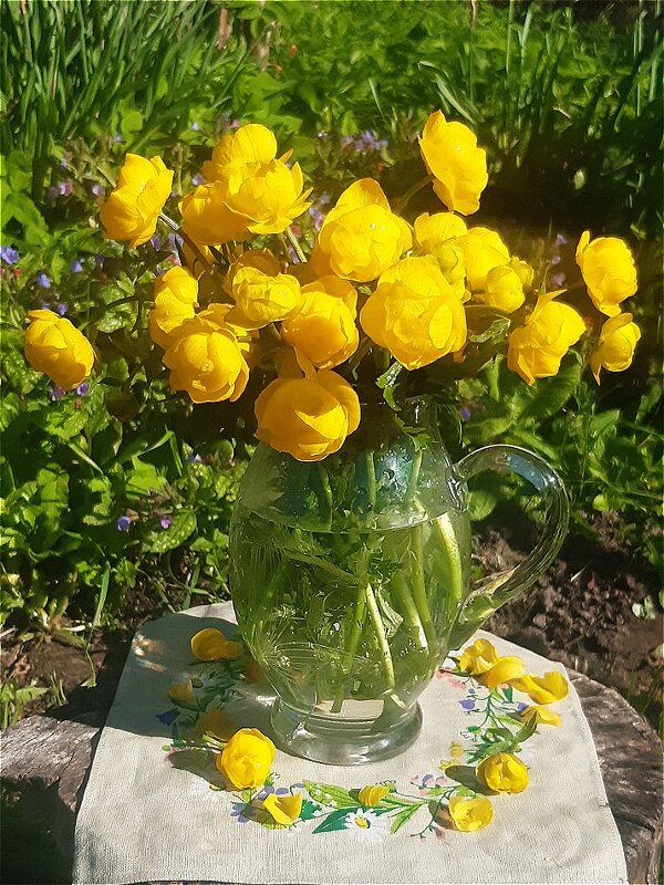 Лютики чудесные,жёлтые огни! - Нина Андронова Лютики чудесные,жёлтые огни! - Нина Андронова