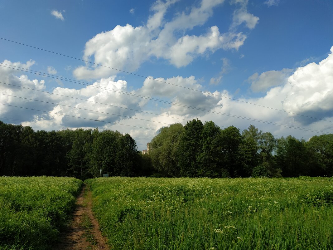 Июнь как он есть - Андрей Лукьянов
