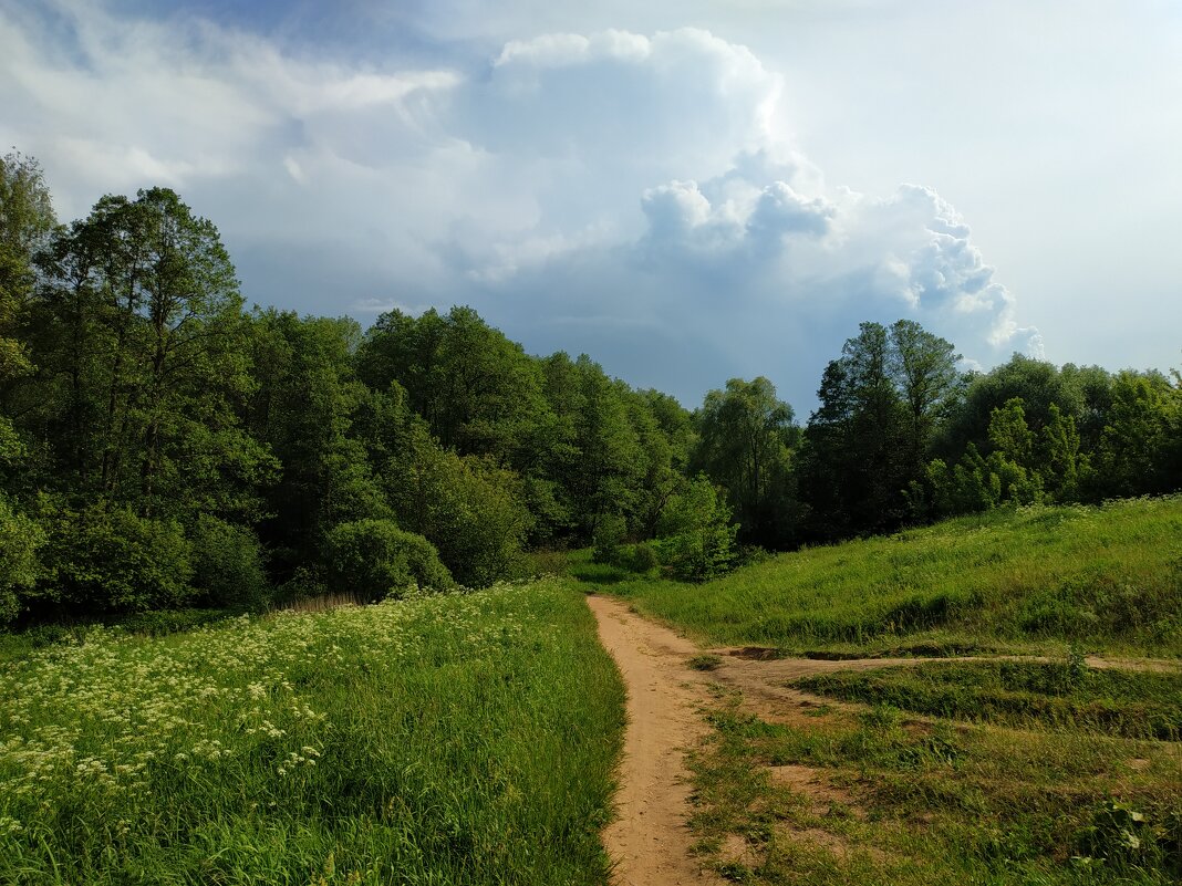 Июнь как он есть - Андрей Лукьянов