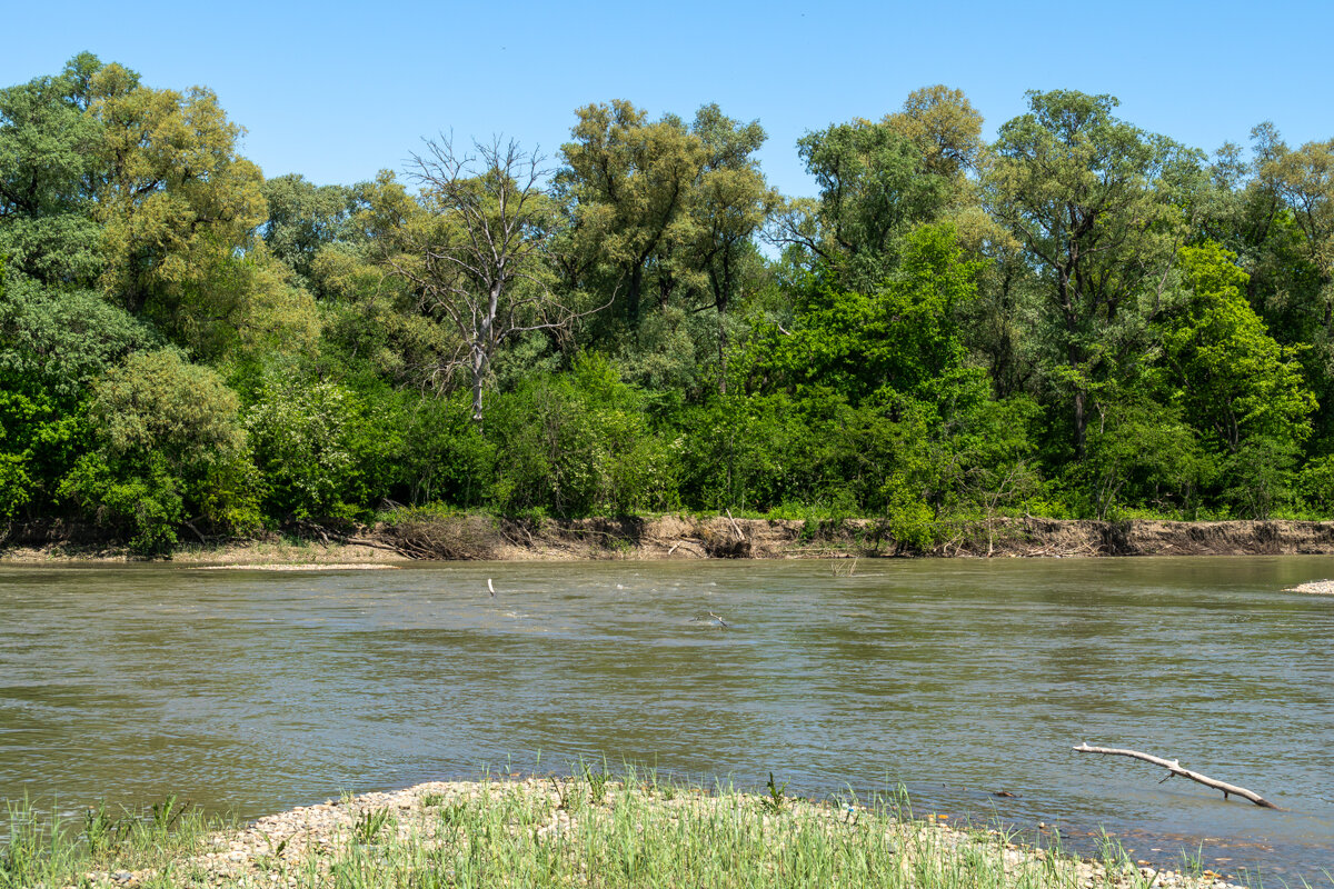 Река Кубань - Игорь Сикорский