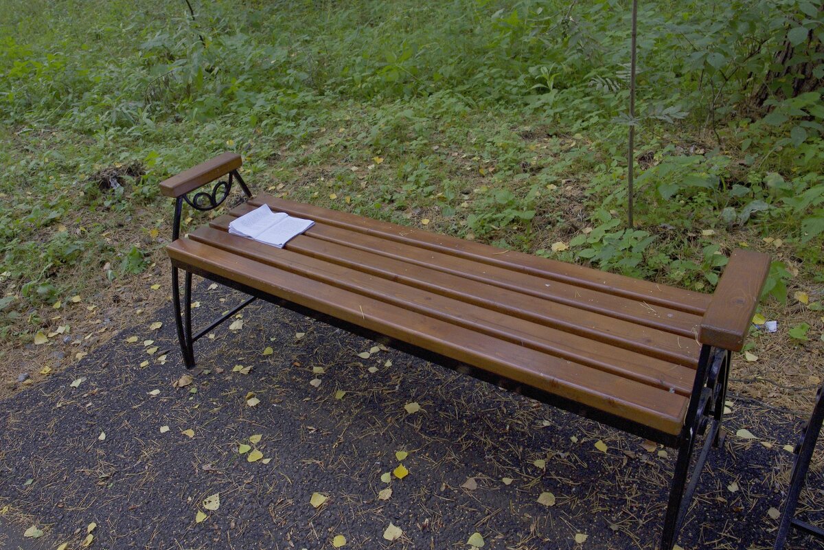 В парке - Сергей Швечков