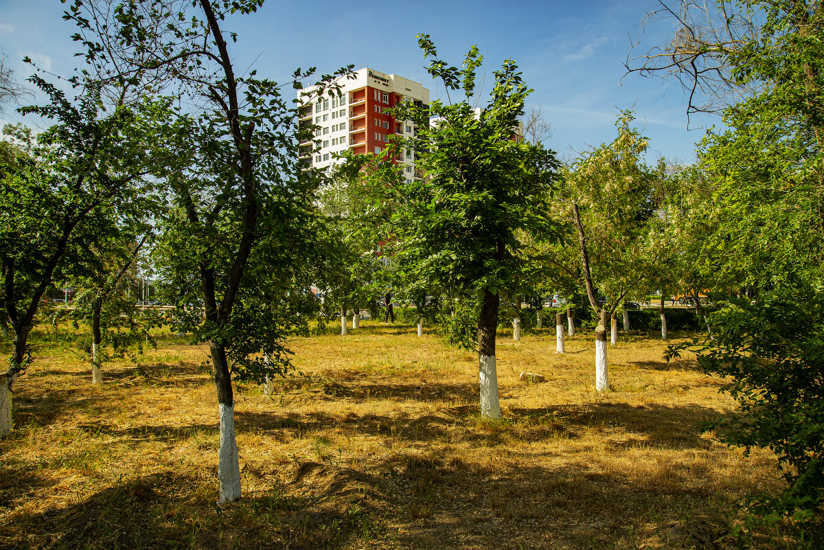 Актау - Анатолий Чикчирный Актау - Анатолий Чикчирный