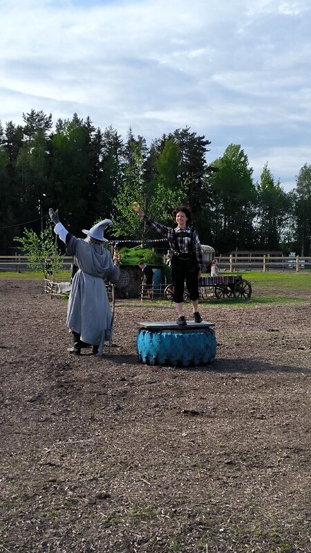 Властелин колец. - Ольга 