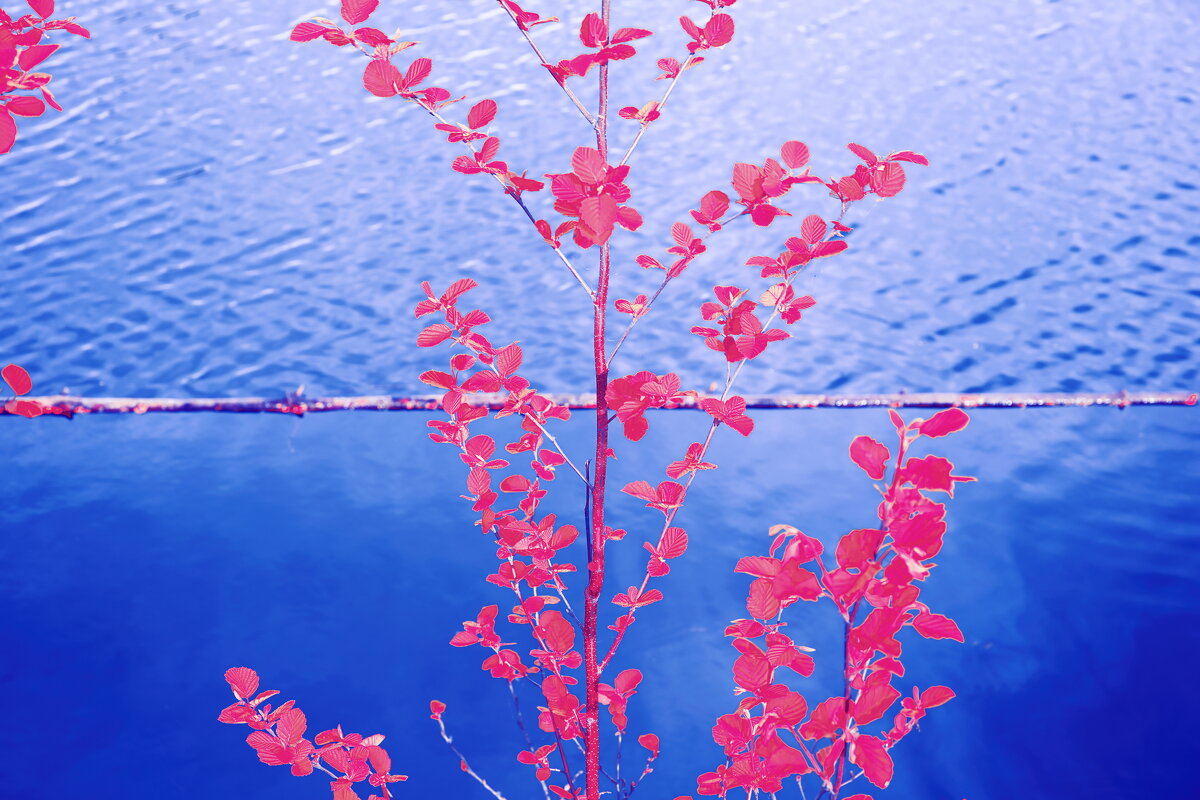 Назва. отсу. - Денис Безногов