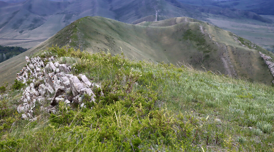 Долгие Горы - Галина Ильясова Долгие Горы - Галина Ильясова
