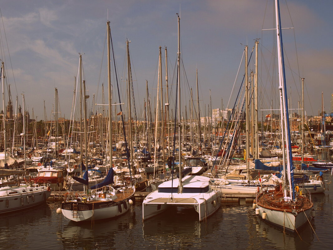 Барселона. - Владимир Драгунский