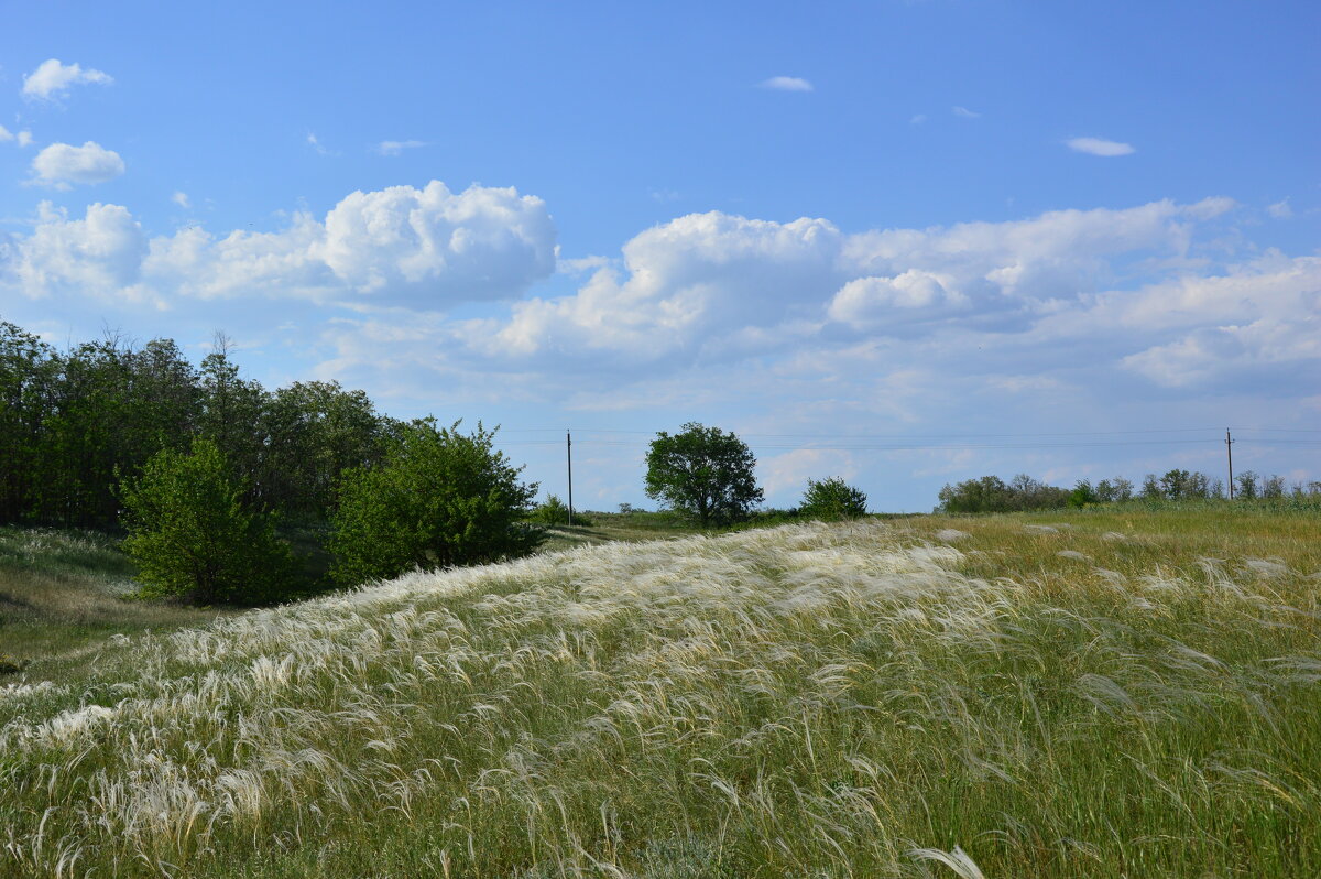 В степи. - Виктор В степи. - Виктор
