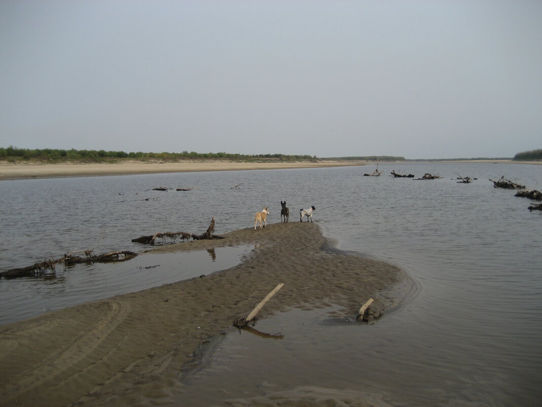 Протока обмелела - Anna Ivanova