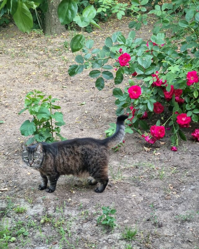 Остановка в пути :) - Наталья Остановка в пути :) - Наталья