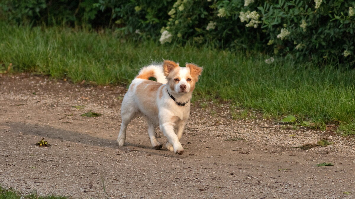 -- - vladimir -- - vladimir