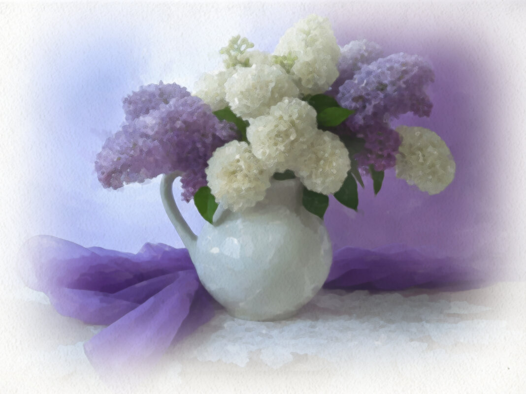 Сирень - Aleksey Afonin