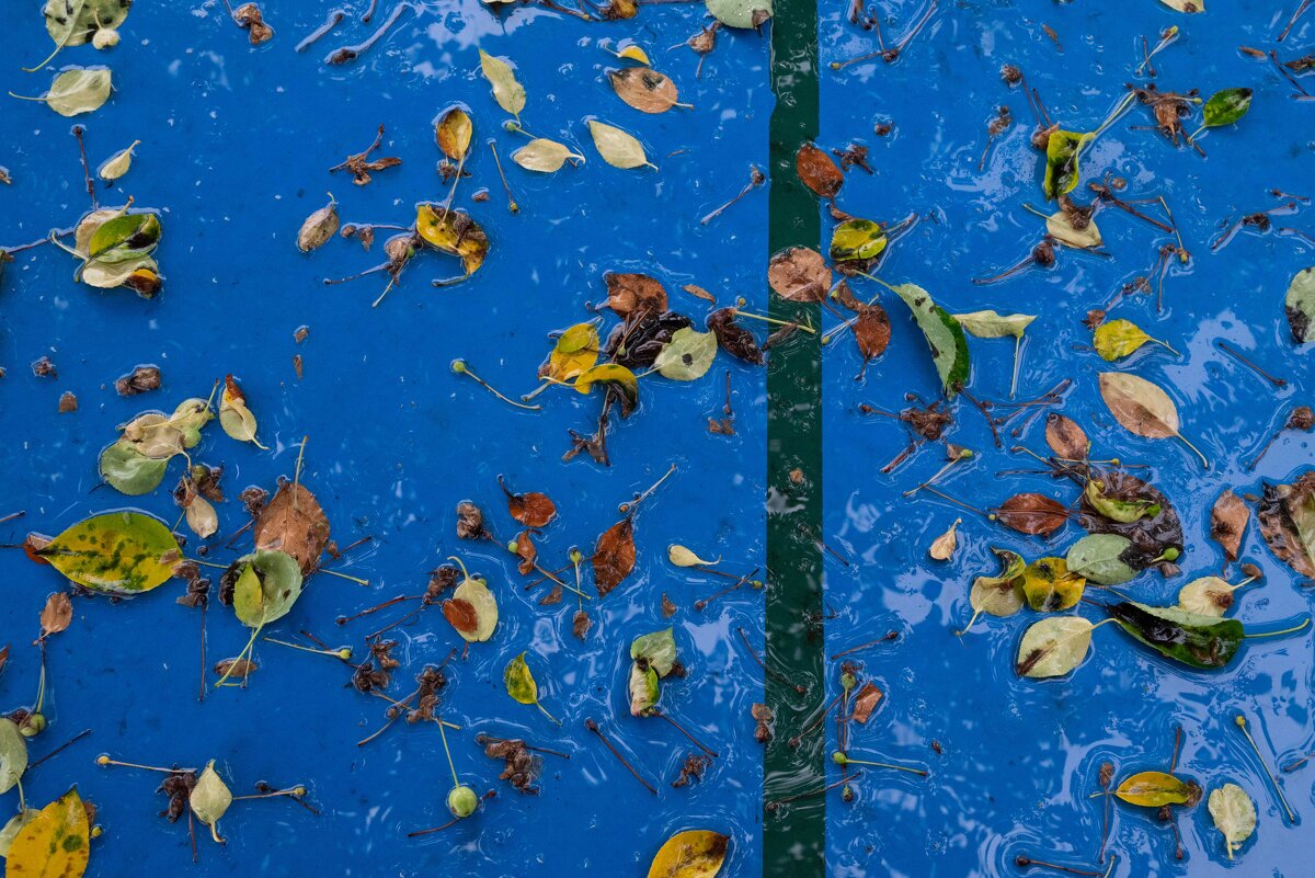 *** - Валерий Михмель 