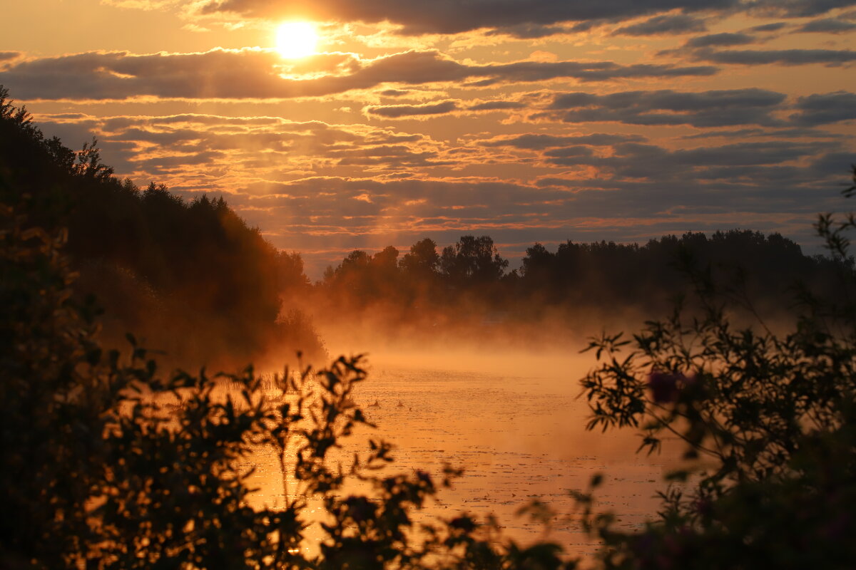Доброе утро - Андрей Костров
