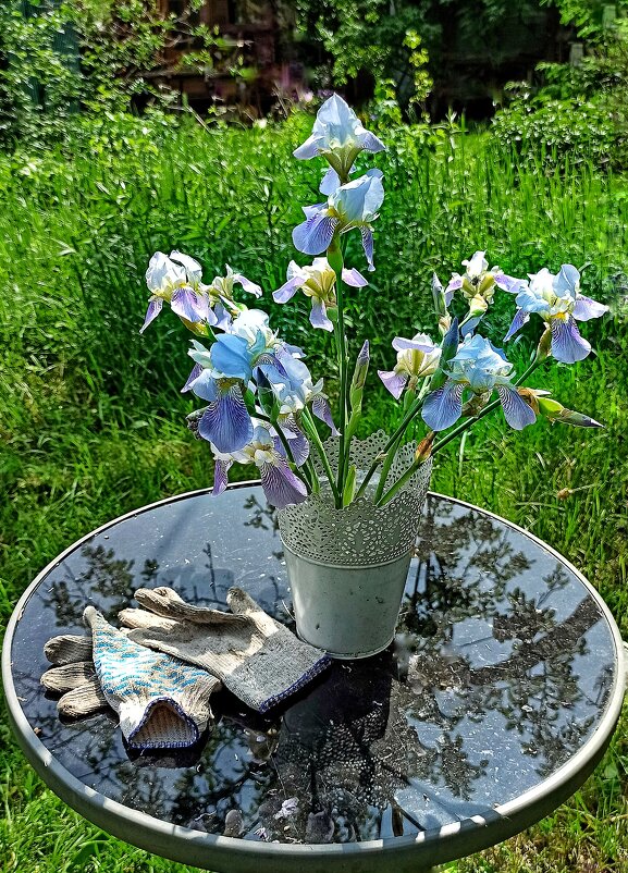 — Минуточку! - veilins veilins