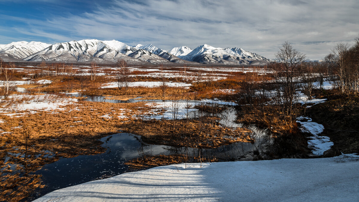 ... - Жора Житников