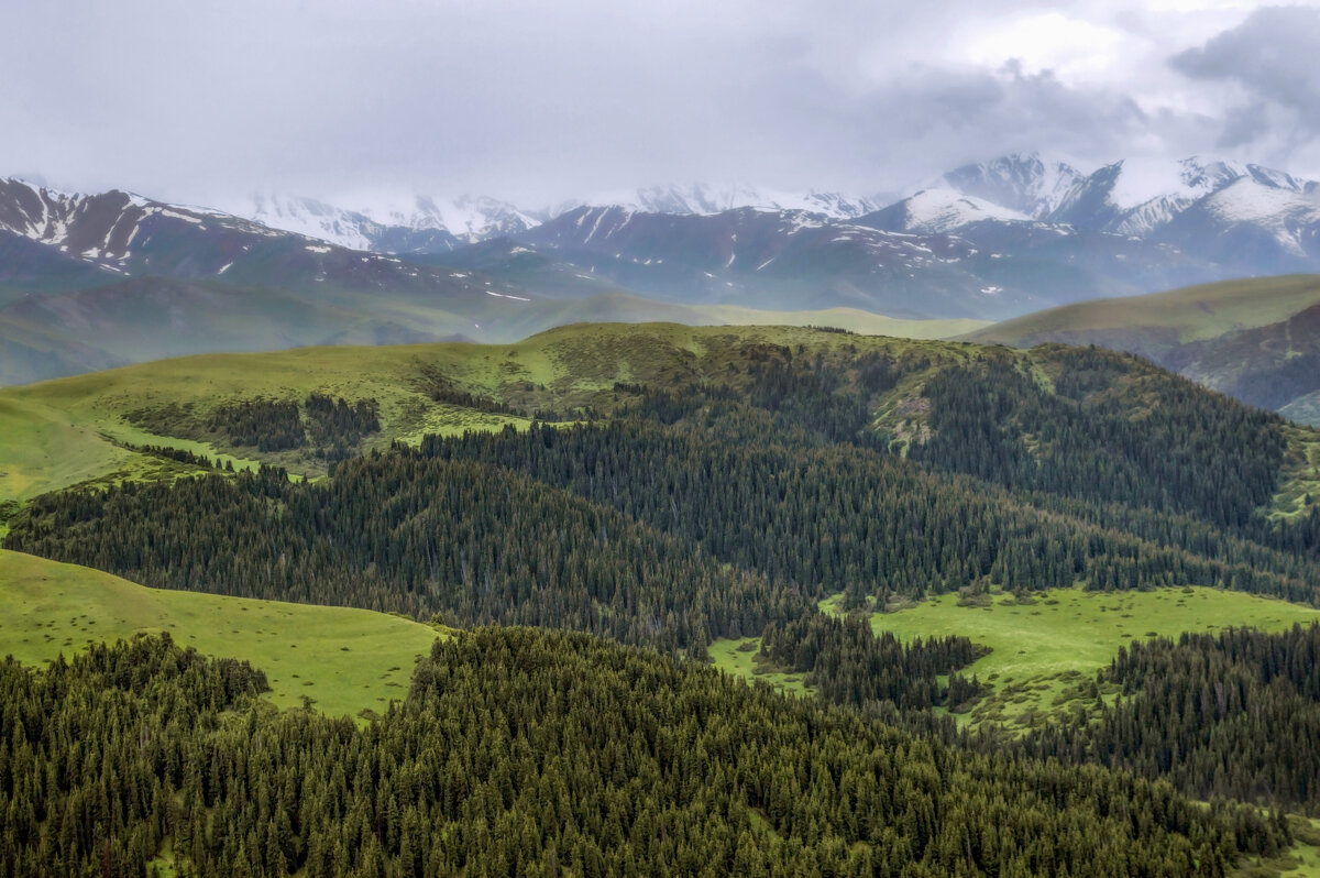 Ассинское плато, Сев. Тянь-Шань - LudMila Ассинское плато, Сев. Тянь-Шань - LudMila