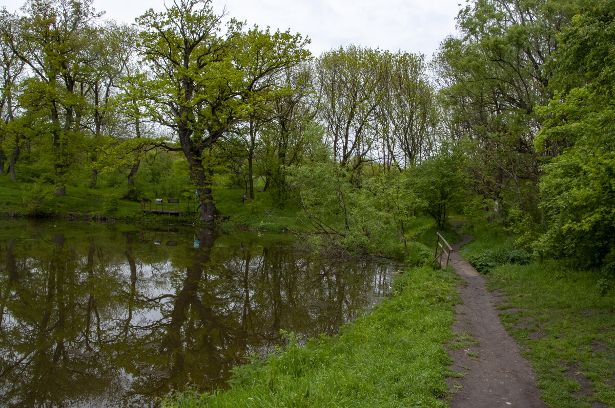 Здесь когда-то находилась дача Ртищева - Gen 