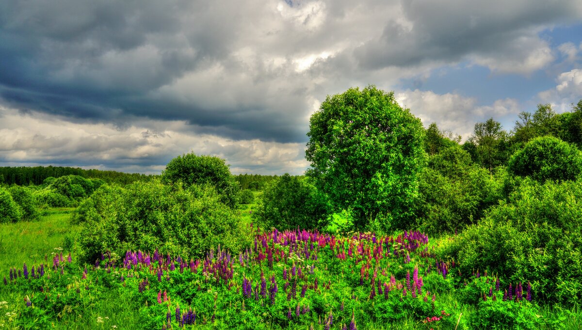Июнь - Наталья Лакомова