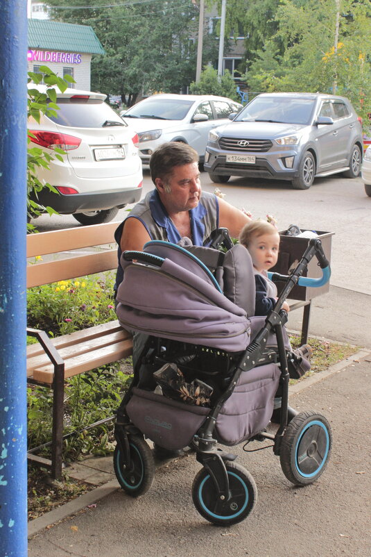 На прогулку собрались!.. - Игорь Родионов