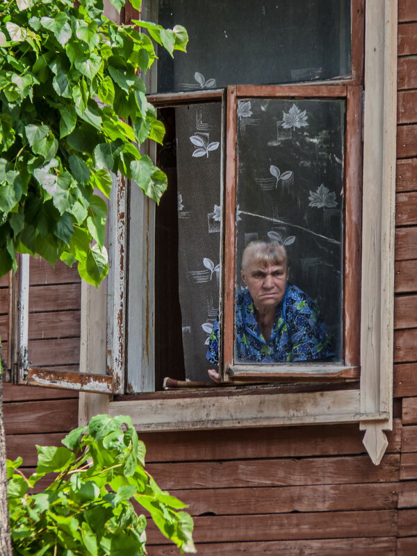 Жизнь за окном - Наталья Rosenwasser Жизнь за окном - Наталья Rosenwasser