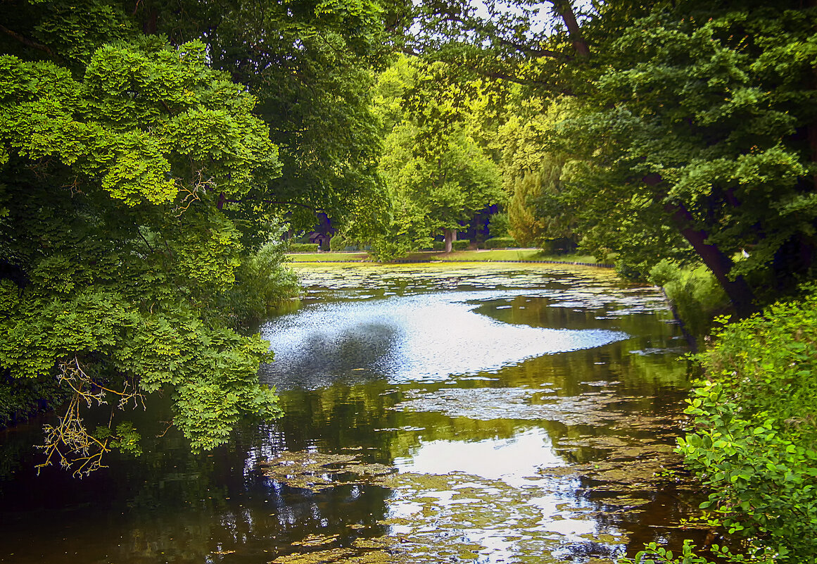 В парке - Андроник Александр В парке - Андроник Александр