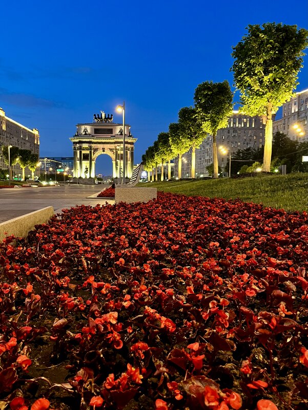 Триумфальная арка - Александр Конов