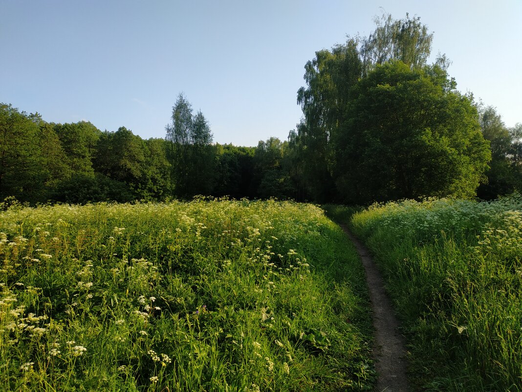 Июнь продолжается - Андрей Лукьянов Июнь продолжается - Андрей Лукьянов