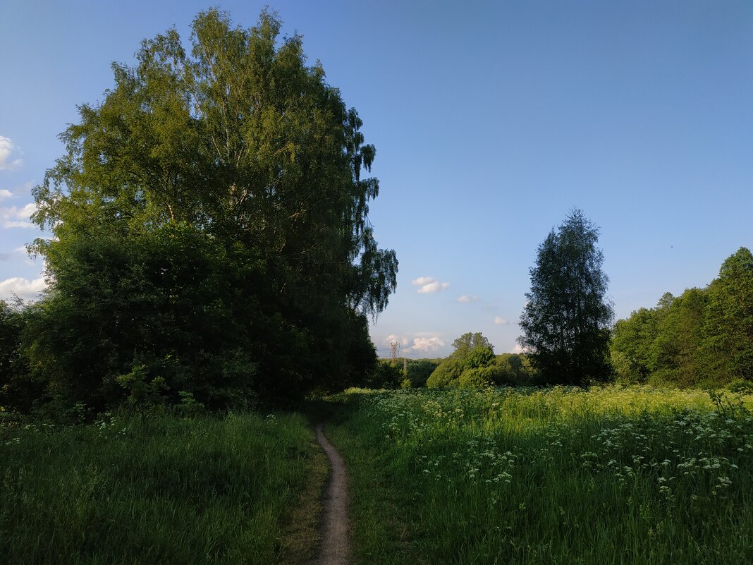 Июнь продолжается - Андрей Лукьянов Июнь продолжается - Андрей Лукьянов