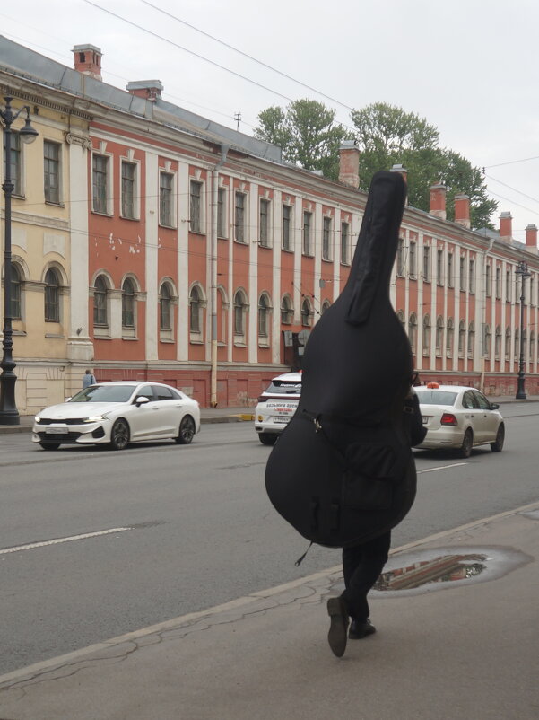 контрабас убежал - zavitok * контрабас убежал - zavitok *