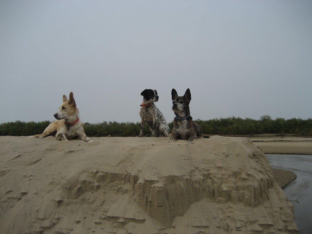 Друзья - Anna Ivanova Друзья - Anna Ivanova