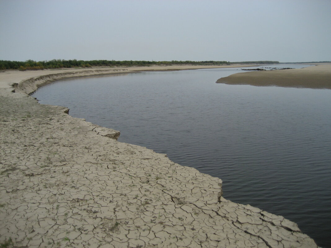 Сушь - Anna Ivanova