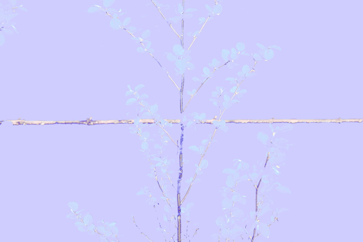 Назва. отсу. - Денис Безногов