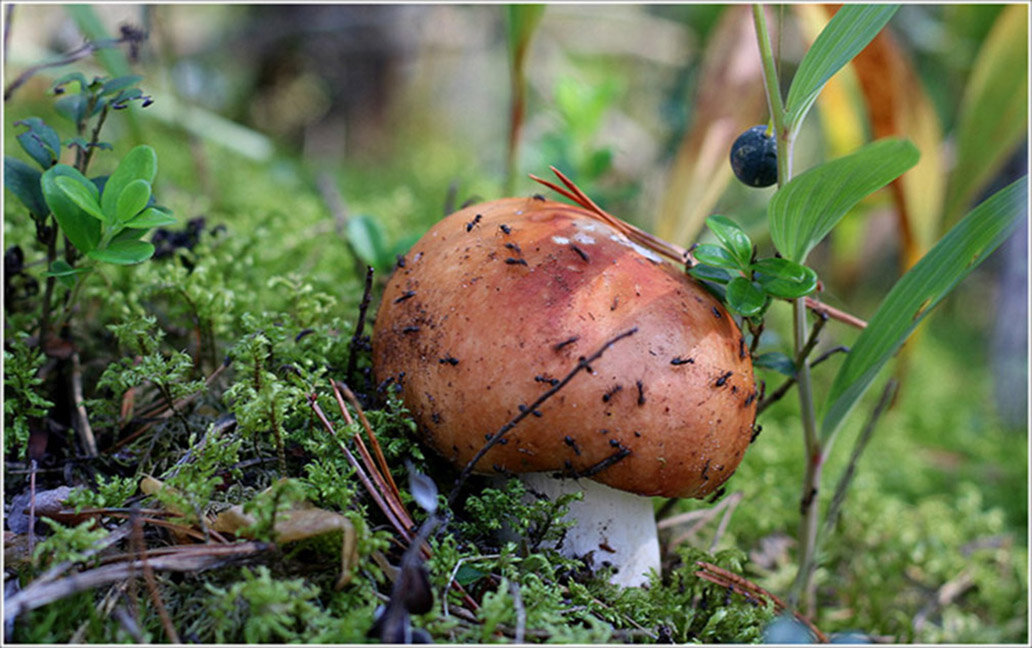 Кипит работа... - Aleksandr Gal Кипит работа... - Aleksandr Gal