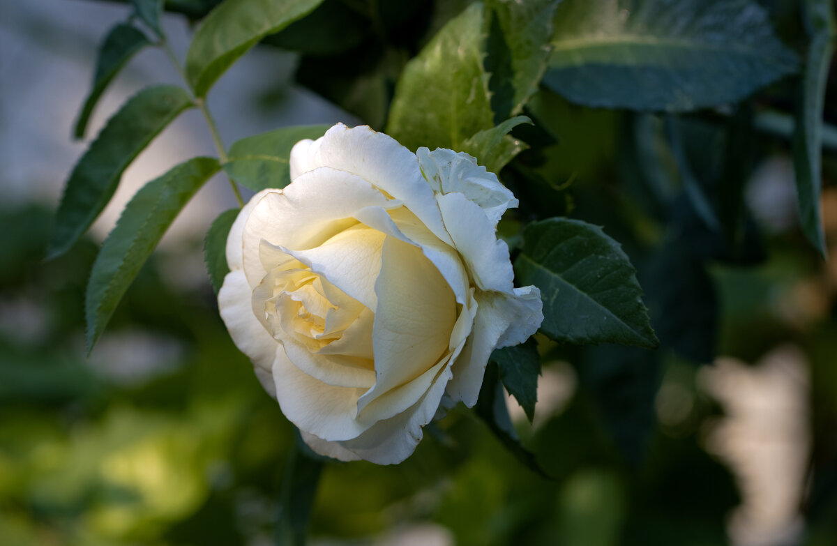 Восходит сонце на востоке... - Валерий Басыров Восходит сонце на востоке... - Валерий Басыров