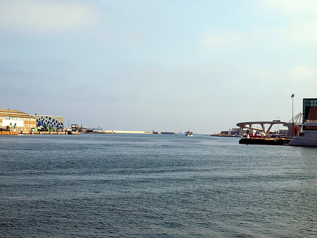 Барселона. - Владимир Драгунский