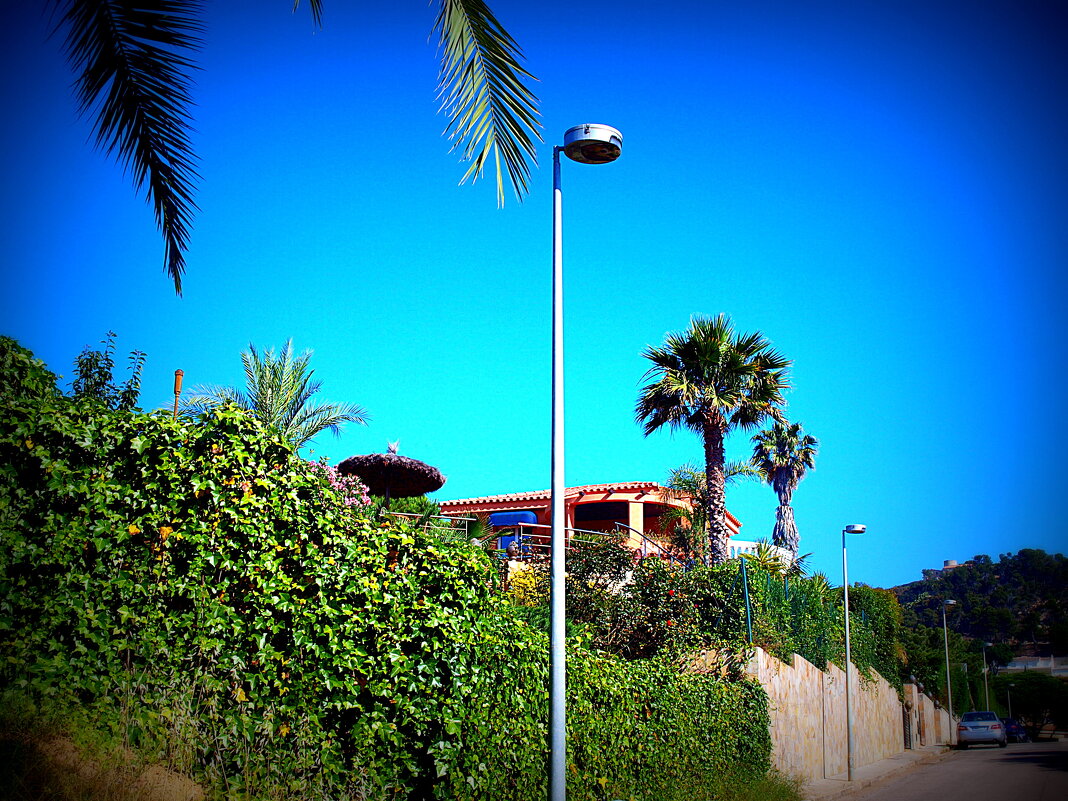 Барселона. - Владимир Драгунский Барселона. - Владимир Драгунский