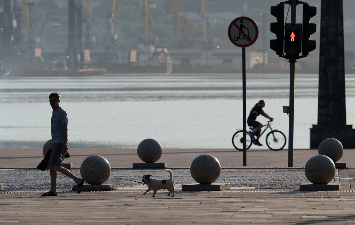 Раннее летнее - daimos 