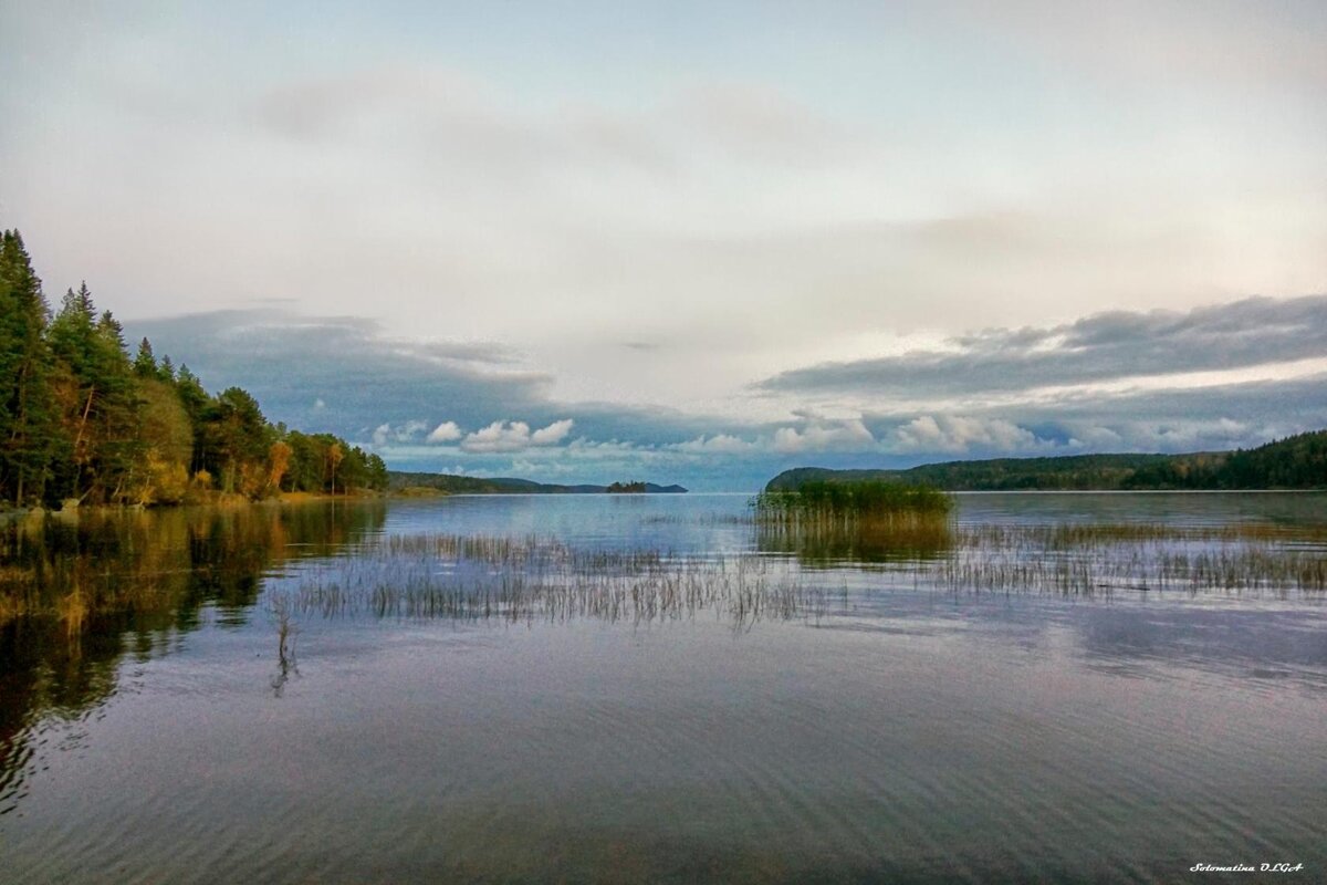 вечерок..... - Ольга Cоломатина