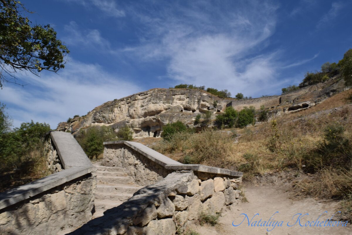 Природа Крыма - Amazing Cosmea Природа Крыма - Amazing Cosmea