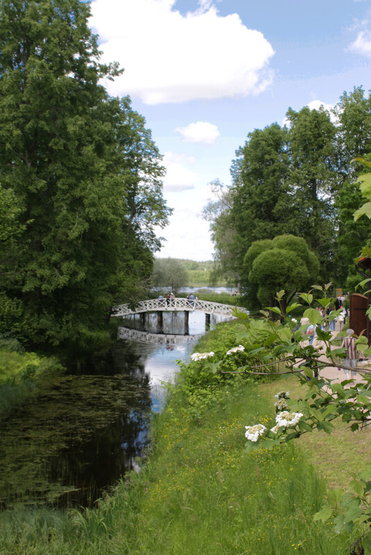 Михайловское - Олег Зоркий