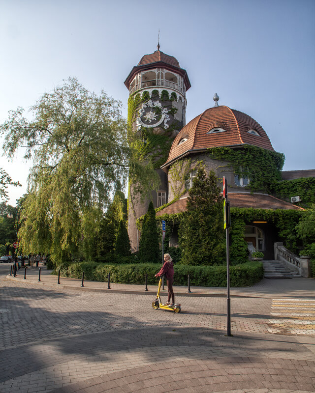 * - Александр Лисовский