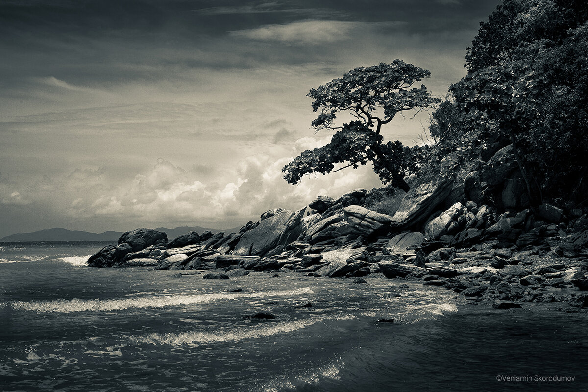 На побережье - Вениамин Скородумов