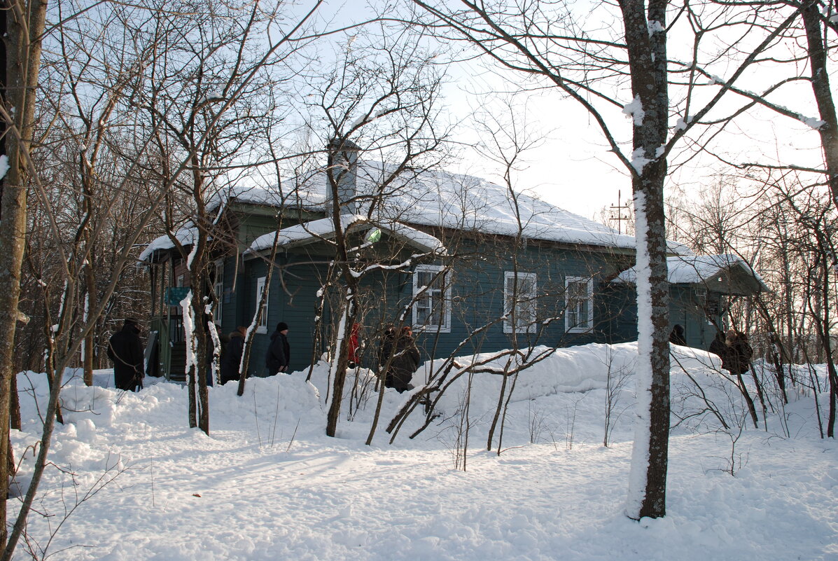 Домотканово - Роман Шаров