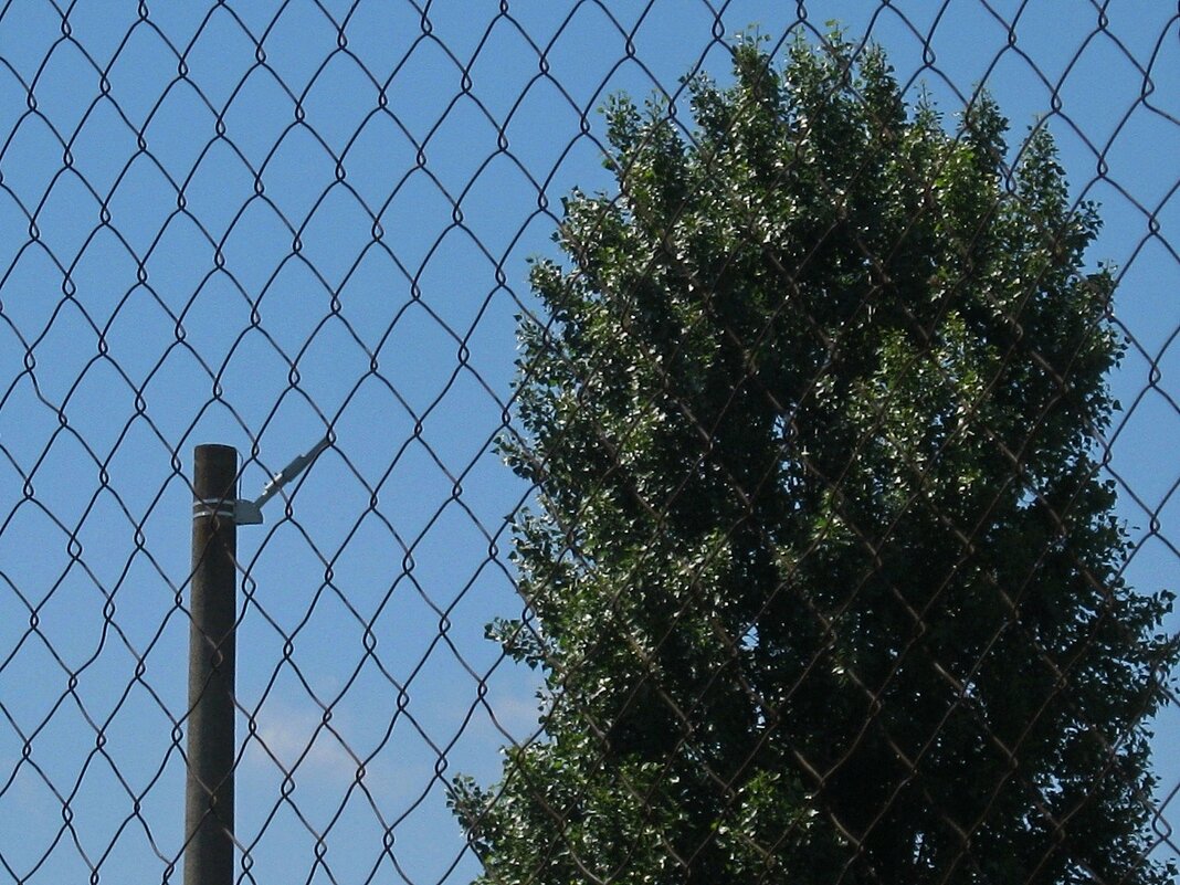 . - Александр Хоменко