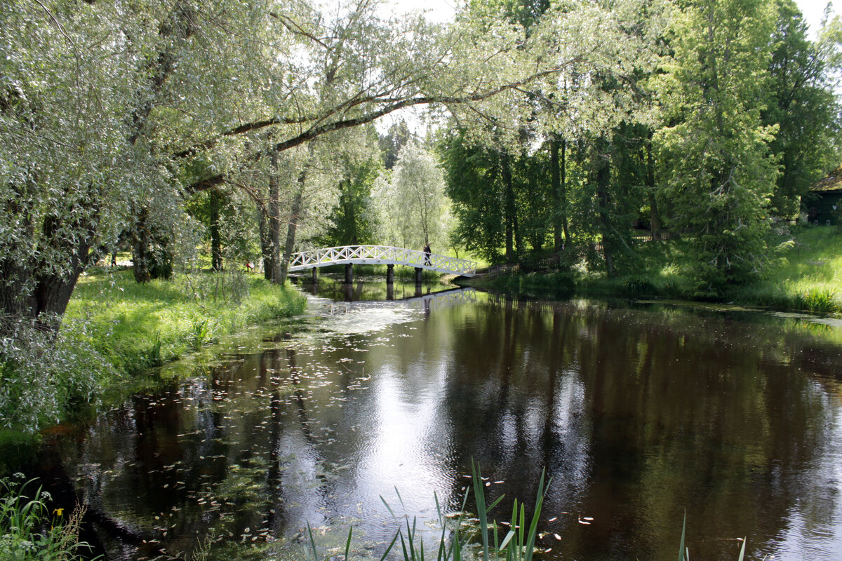Мостик над прудом - Олег Зоркий Мостик над прудом - Олег Зоркий