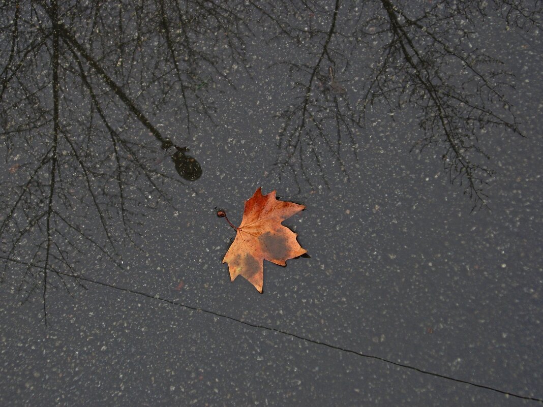 . - Александр Хоменко