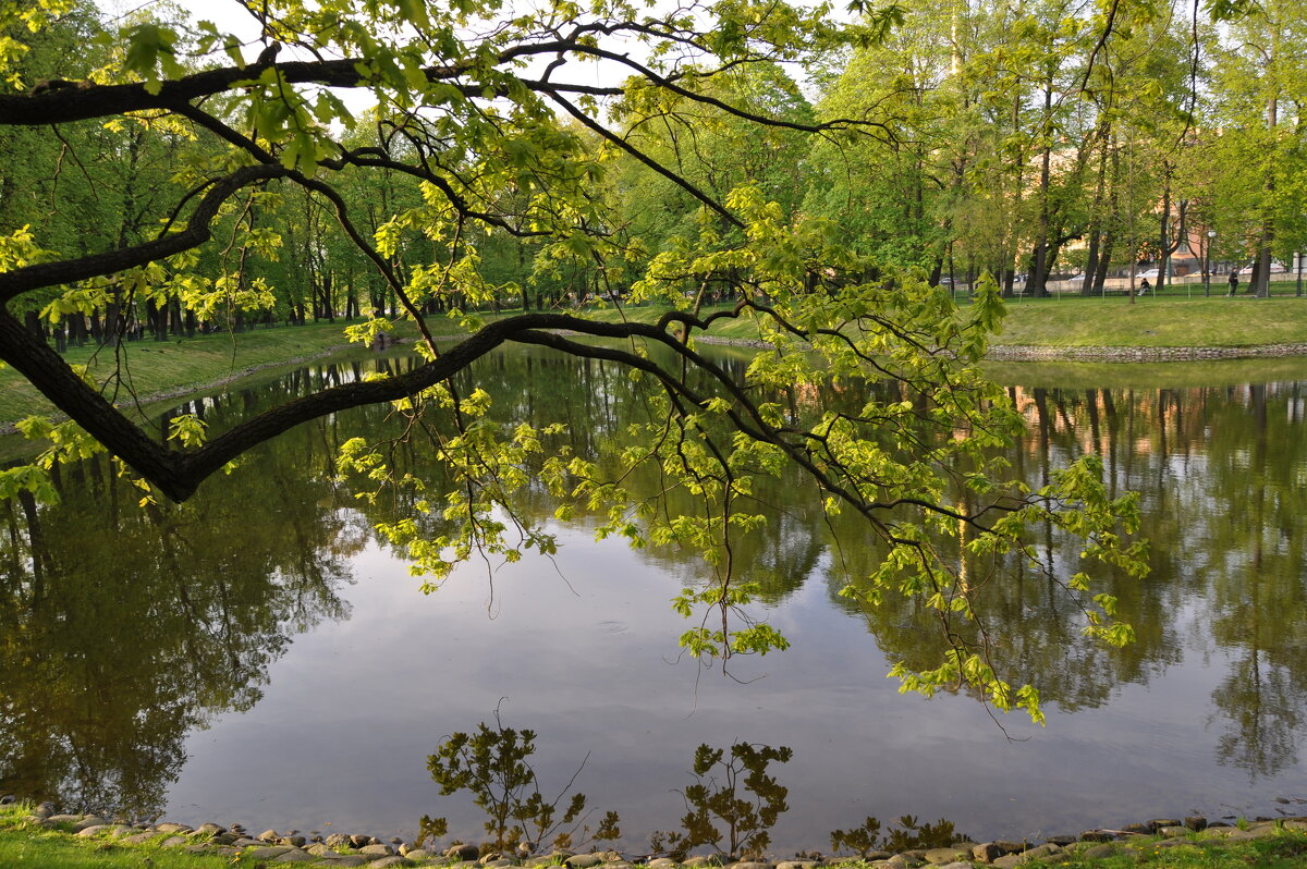 В Михайловском саду - Татьяна Машошина